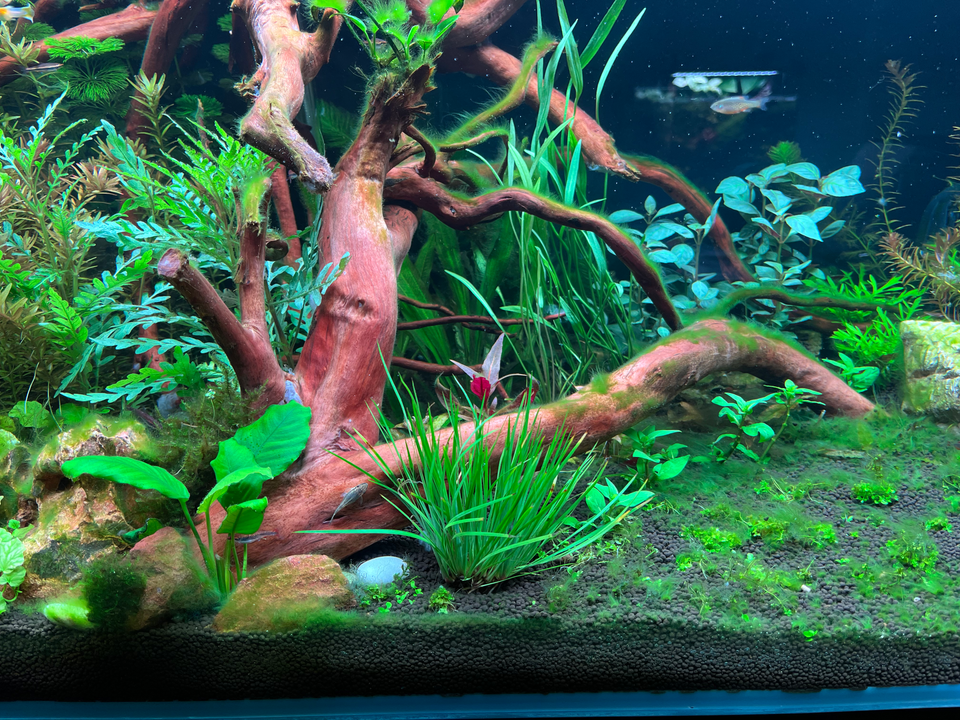 Tank 3 Update